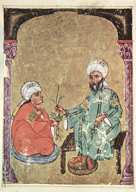 Фолио из арабской рукописи Диоскорида, De materia medica, 1229 г.