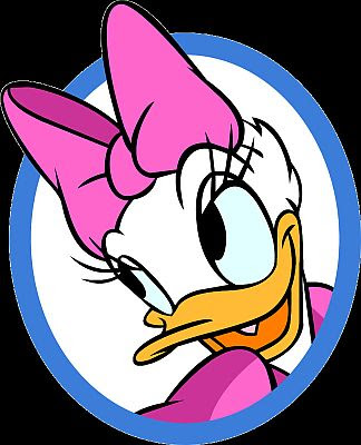 daisy the duck