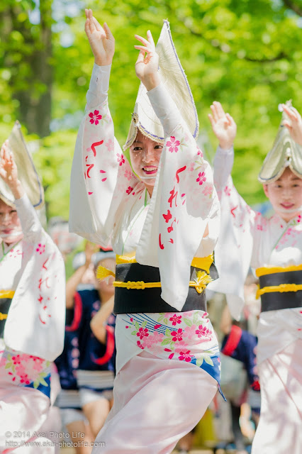 紅連　阿波踊り