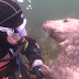 A COUPLE OF SEALS START CIRCLING AROUND AN UNDERWATER DIVER AND ASK FOR THE UNBELIEVABLE