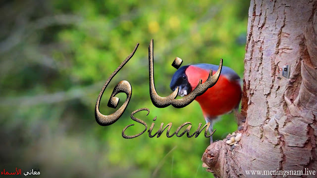 معنى اسم, سنان, وصفات حامل, هذا الاسم, Sinan,