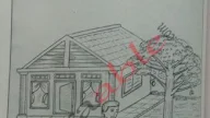 Contoh Tes Psikotes Gambar Pohon Mangga