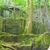 Spencer, IN: McCormick's Creek State Park, Old State House Quarry Geology Tour