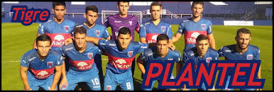 http://divisionreserva.blogspot.com.ar/2017/08/tigre-201617-plantel.html