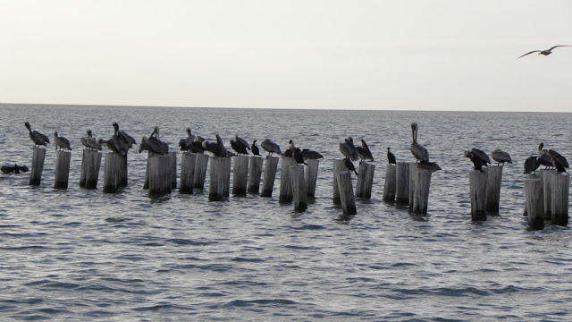 Naples Beach