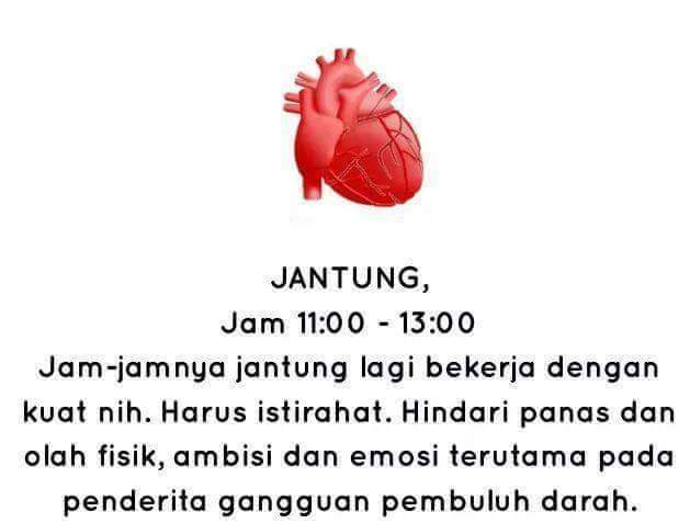 Kesehatan Organ Tubuh Jarang Yang Tahu Padahal Penting Bagi Kesehatan  Jam Kerja 