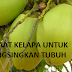 Tips Melangsingkan Tubuh dengan Buah Kelapa