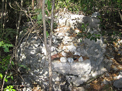 Remains of Beehive Oven - Hawksbill