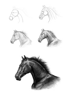 How To Sketch Draw Paint How To Draw A Horse s Head By Monika 