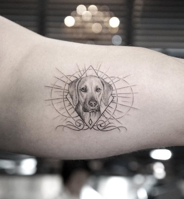 Tatuagem cachorro