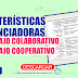 DIFERENCIADORAS DEL TRABAJO COLABORATIVO Y  TRABAJO COOPERATIVO (resumen)