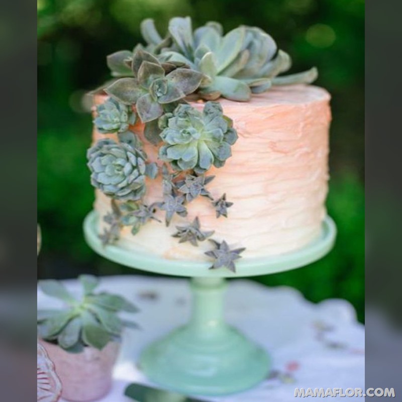 Centros-de-mesa-para-Boda-con-cactus-y-suculentas-11