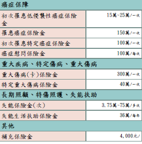 保障細項