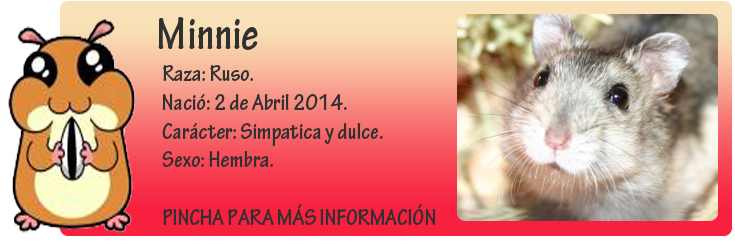 http://almaexoticos.blogspot.com.es/2014/05/minnie-hamstercita-en-adopcion.html