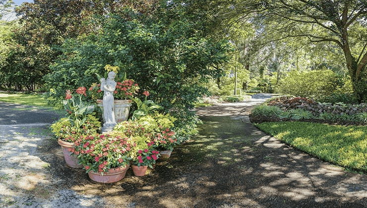 Harry P Leu Gardens Orlando