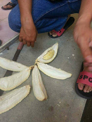 Curhatan Pria Saat Beli Durian Rp 15 Ribu Ini Viral, Saat Dibelah Isinya Bikin Nyesek