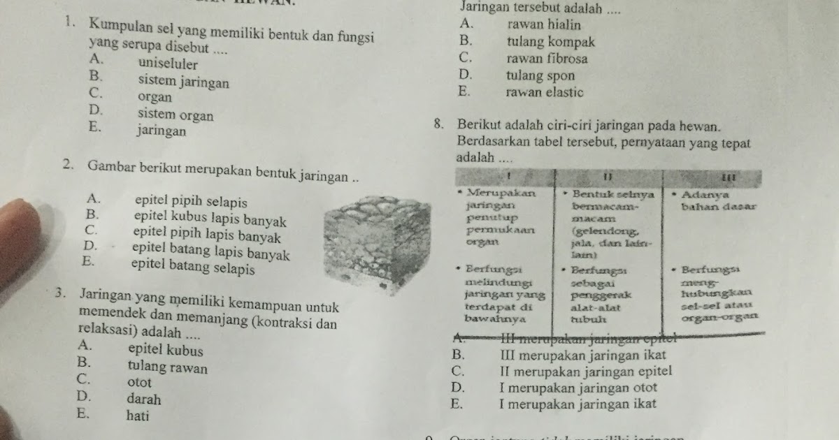  BIOLOGI  GONZAGA  130 SOAL BIOLOGI  SEL DAN JARINGAN 