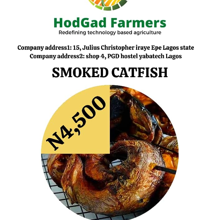 Smoked catfish