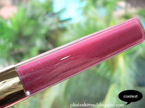 brand new Chanel Lip Gloss for the best pouter!