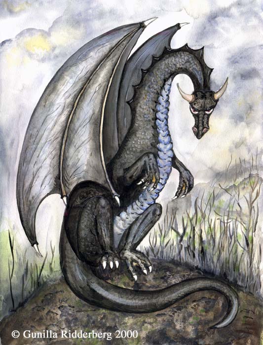 Dragões | Dragons