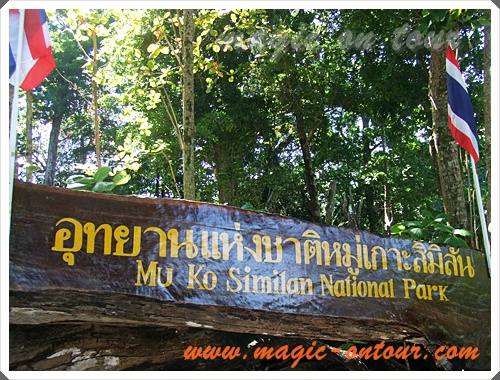 photo สิมิลัน magic ontours