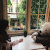 Beary Social ʕ•ᴥ•ʔ