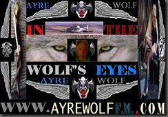 IN THE WOLFS EYES HEADER