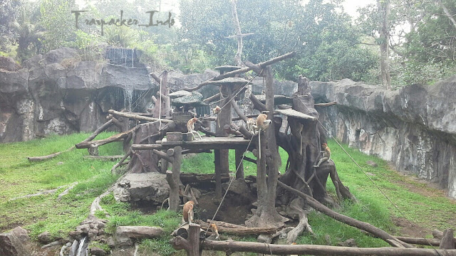 Taman Safari Indonesia II Prigen Pasuruan