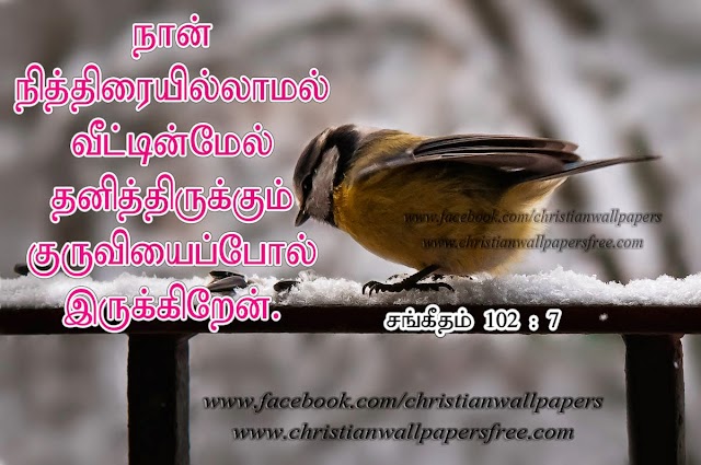 I am alone tamil bible verse wallpaper