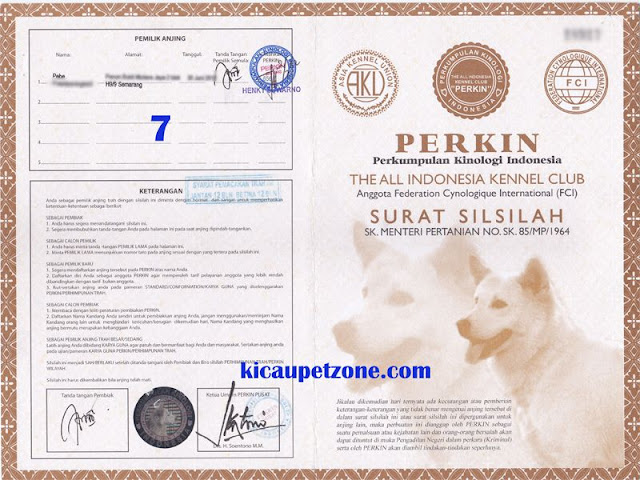 Cara Membaca Surat Silsilah Anjing Ras