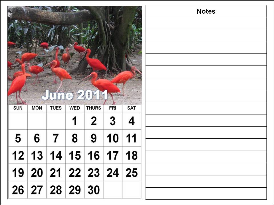 2011 Calendar Printable Free. Free Printable June 2011