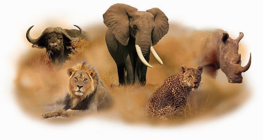 The Big Five