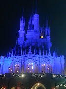 Disney Castle upclose at night.