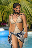 priyamani in bikini,semi nude priyamani,priyamani two piece,hot priyamani gallery,priyamani drona gallery,