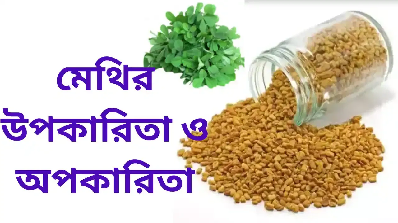 Fenugreek:  মেথির উপকারিতা ও অপকারিতা।