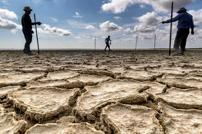 Photograph of researchers on dried, cracked mud