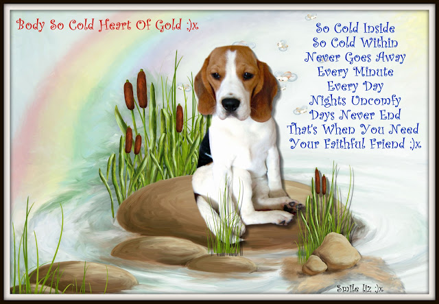 Raynaud's ... My Feelings My Poem ... Beagle Smiles ..Body So Cold Heart Of Gold
