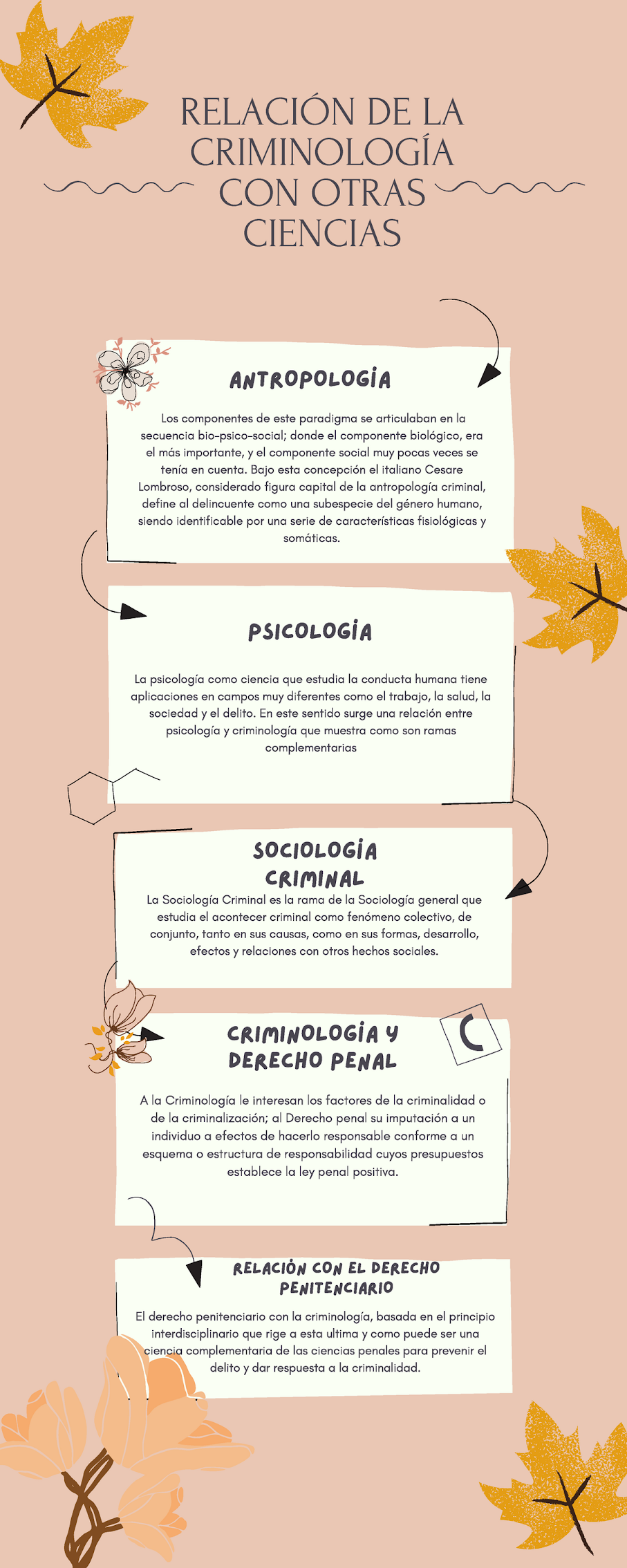 Infografías sobre criminología