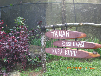 Curug 7 Cilember