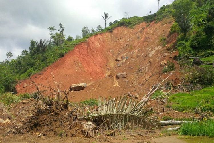 Selain Gejala Alam, apa Penyebab Tanah Longsor? Belajar Sampai Mati, belajarsampaimati.com, hoeda manis