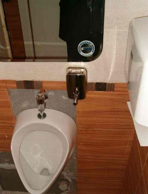 unusual toilets