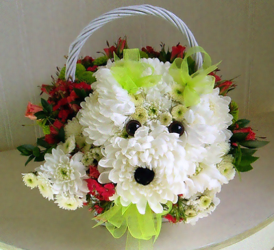 Perrito con crisantemos. Mascotas florales. 