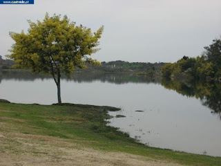 Albufeira, Barragem de Póvoa e Meadas de Castelo de Vide, Portugal (Fish)