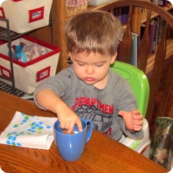 Homemade Cookie Dunk