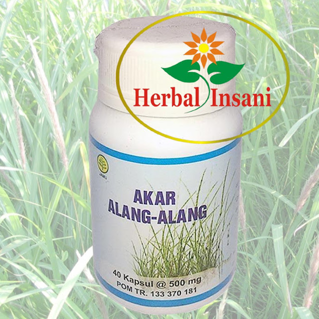 Jual Kapsul Akar Alang Alang Di Bagan Siapi api | 0812 1666 0102