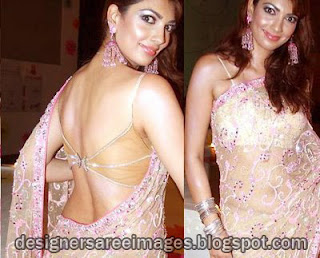 saree Blouse Back Designs - Choli Back Design Pictures - blouse design ideas 2012