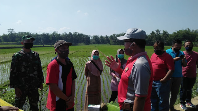  Petani Ini Kaget, Temukan Janin Terbungkus Plastik di Saluran Irigasi