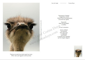 Page from Into the Light by Corina Duyn with image of ostrich looking you in the eyes and quote about cures for illness