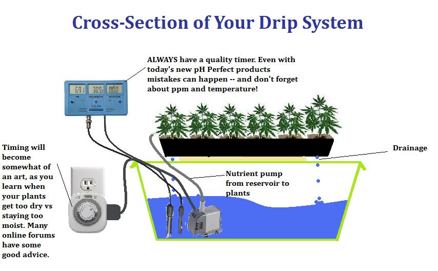  drip system drip irrigation system rama farming grow infocharts