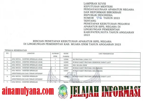 Rincian Formasi Kebutuhan ASN PPPK Kabupaten Muara Enim Provinsi Sumatera Selatan (SUMSEL) Tahun Anggaran 2023 pdf